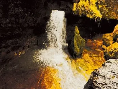 Garden of Caves