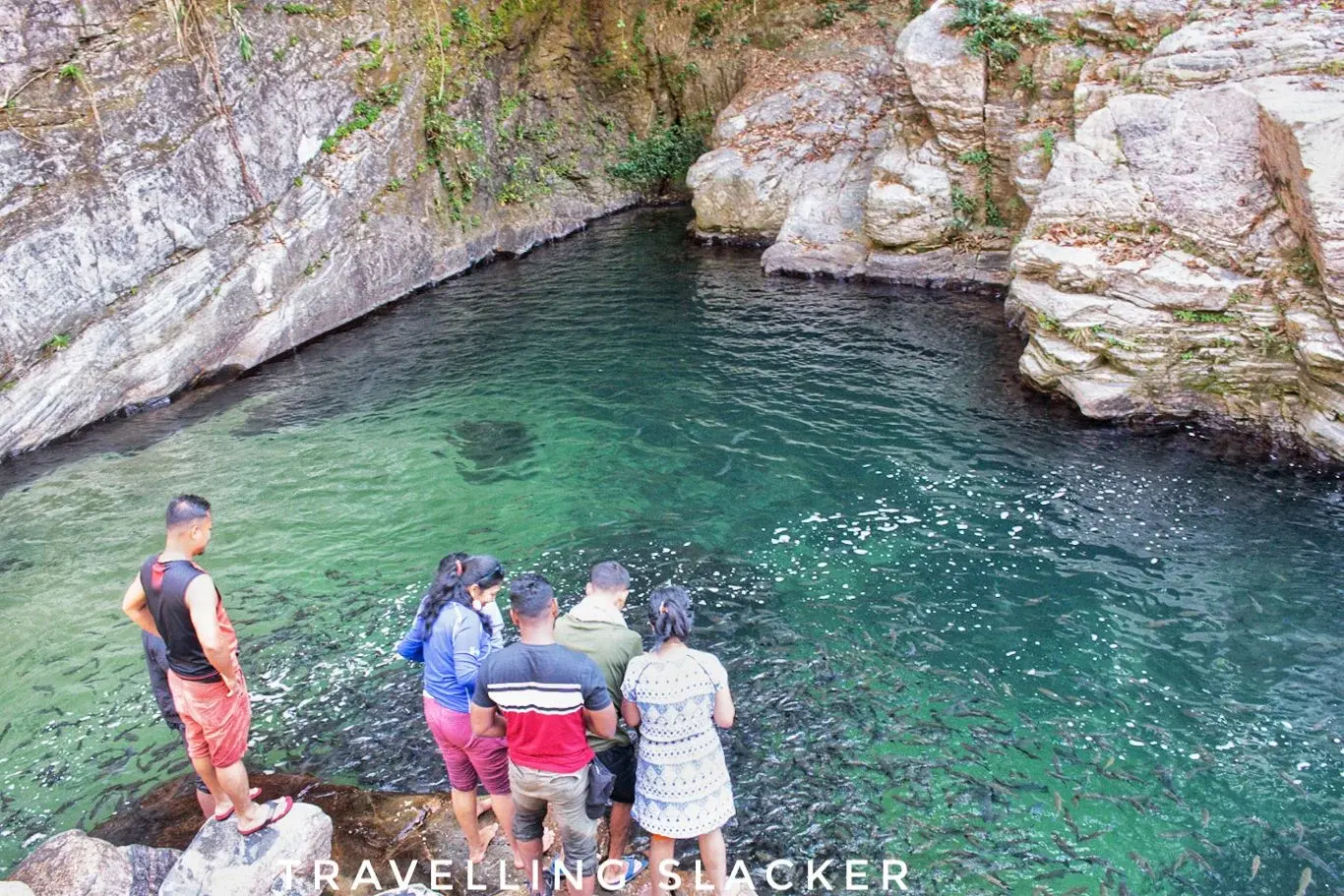 Jadisil Fish Sanctuary
