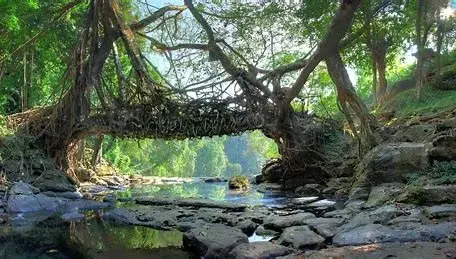 Explore Mawlynnong in the morning and then proceed to Dawki