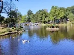 Explore Shillong and Visit Sohra (Cherrapunjee)
