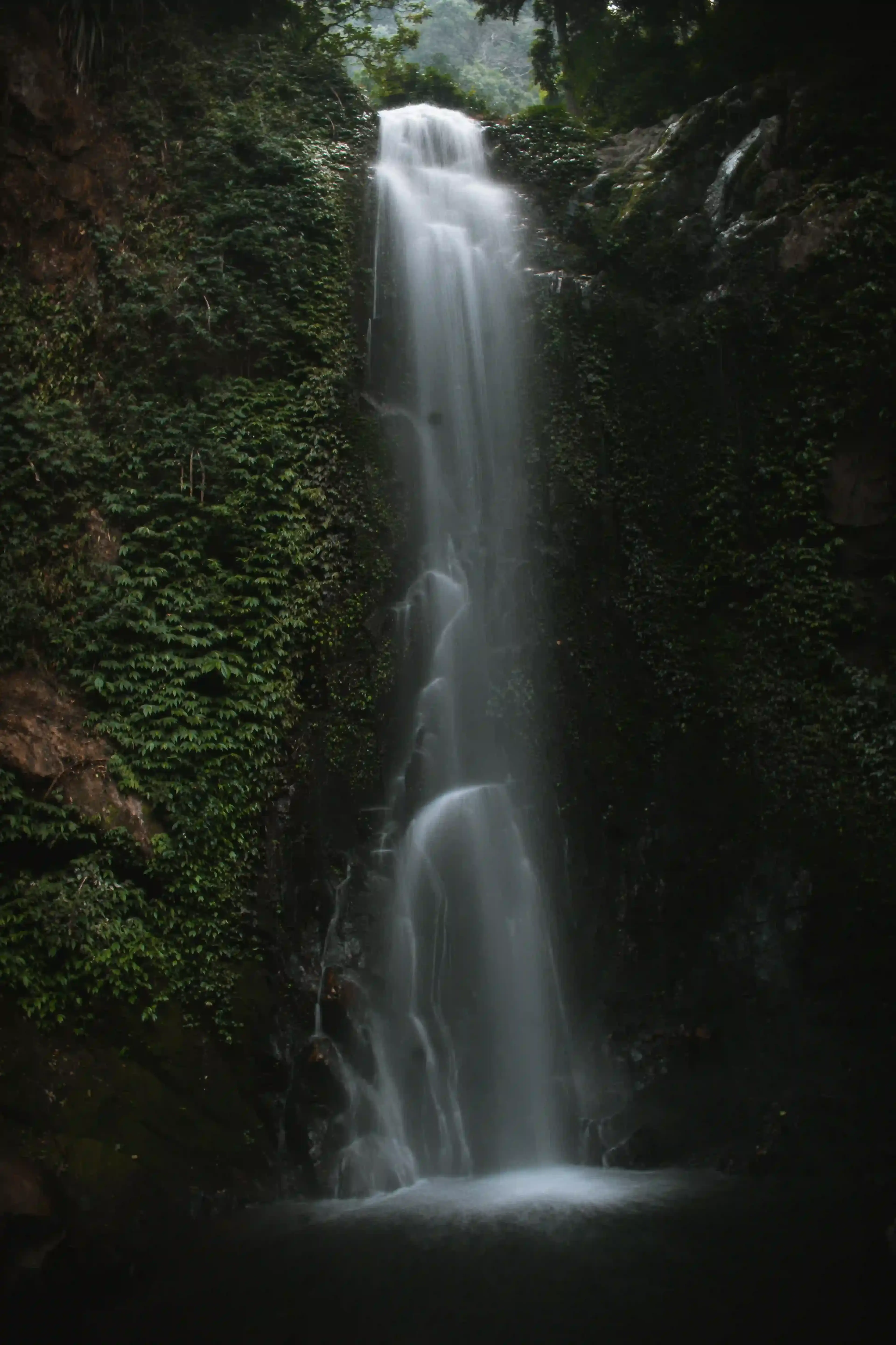 Kudengrim